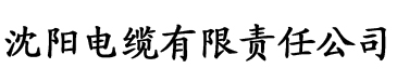 超碰香蕉在线精品电缆厂logo